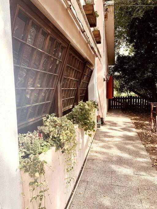 Raffinatezza Rustica Nella Campagna Veneziana Apartamento Canton  Exterior foto